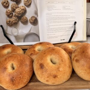 Golden plain sourdough bagels on a wooden board